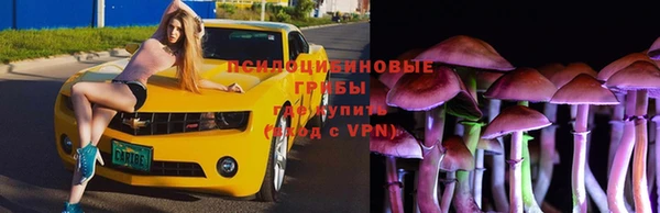 прущий лед Покров