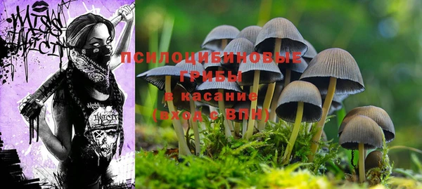 кокаин Покачи
