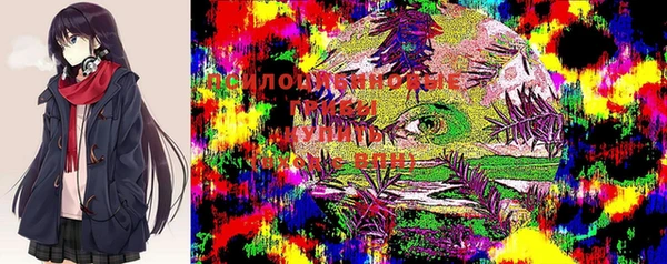 бошки Аша