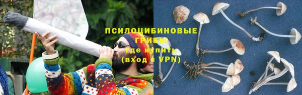 прущая мука Покровск
