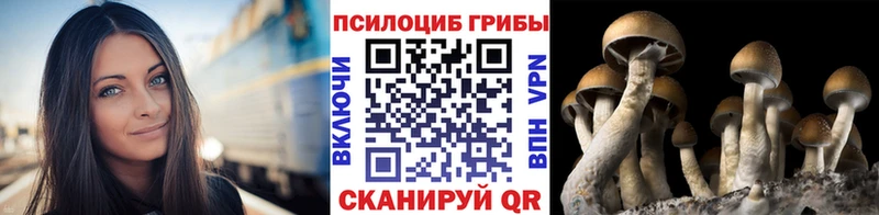Псилоцибиновые грибы мухоморы  купить наркотик  Северск 